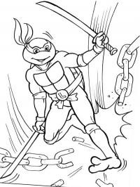 tortues ninja